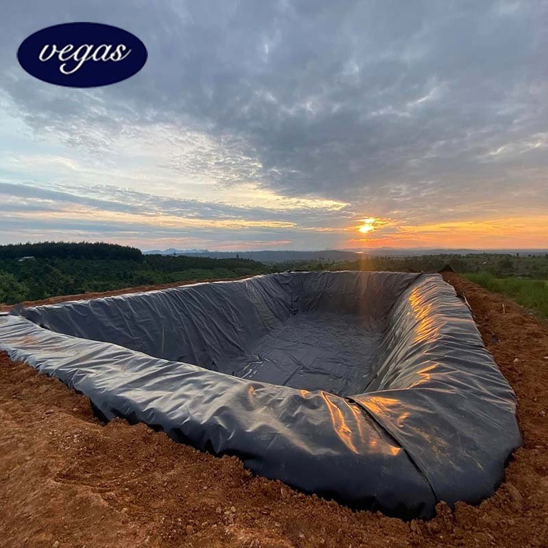 Waterproofing Geomembrane 0.3mm 0.5mm 0.75mm Fish Farming Pond liner hdpe geomembranas