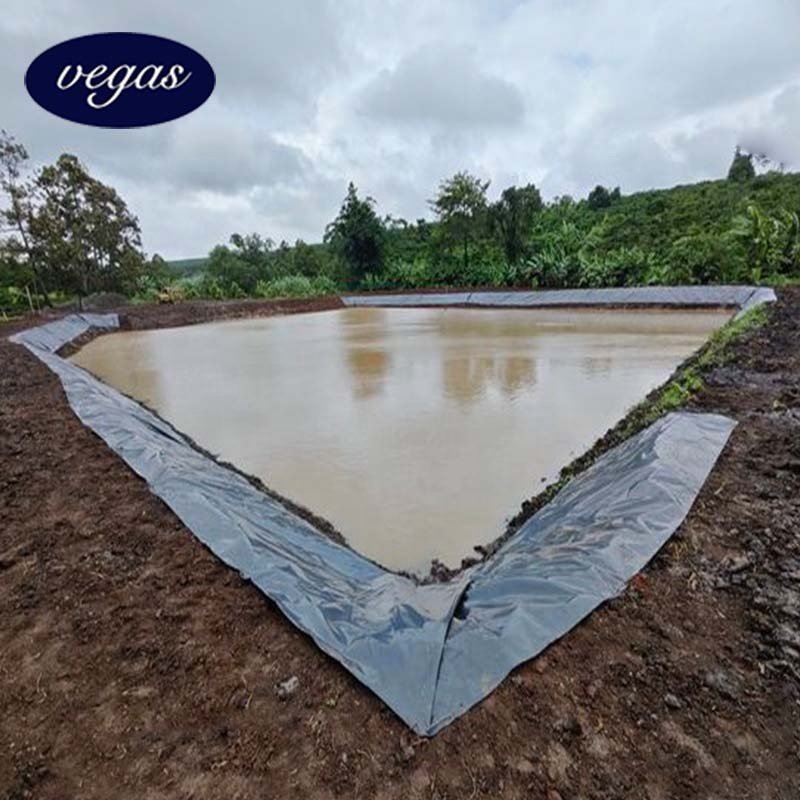 Waterproofing Geomembrane 0.3mm 0.5mm 0.75mm Fish Farming Pond liner hdpe geomembranas