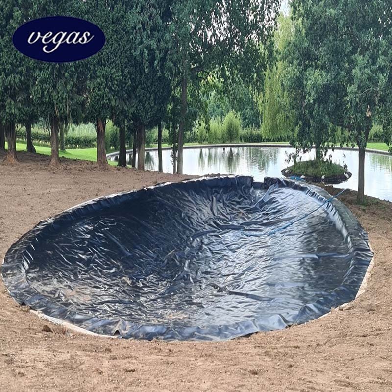 Waterproofing Geomembrane 0.3mm 0.5mm 0.75mm Fish Farming Pond liner hdpe geomembranas