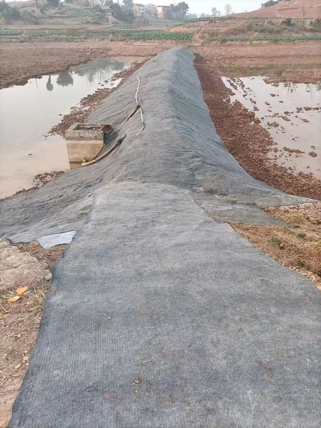 Culture tunnel biogas digester river hardened fish pond for culture