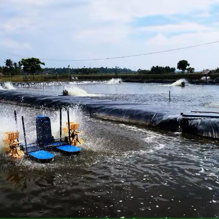 1mm 1.2mm 1.5mm 2mm Membrane / HDPE Geomembrane / Pond Liner for Dam/Landfill/Lake/Biogas/Mining/Fish/Shrimp Farm