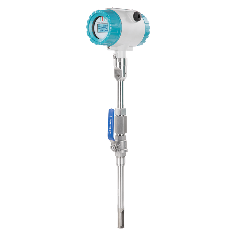 Explosion Proof Digital Air Thermal Mass Flowmeter LPG Gas Flow Meter