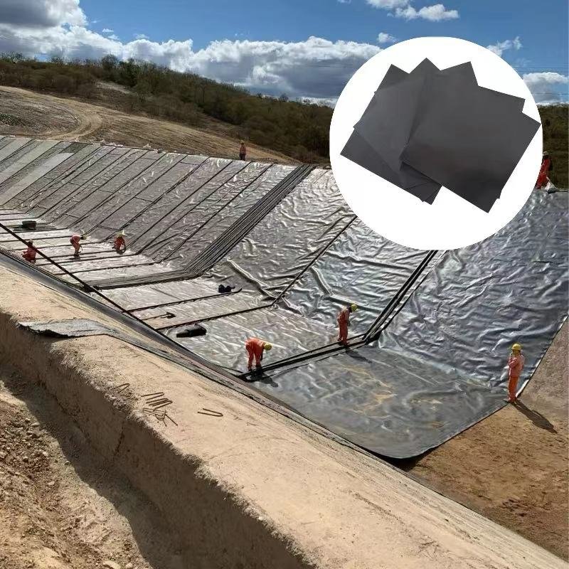 Large scale livestock biogas digester black geomembrane film and corrosion-resistant HDPE anti-seepage film