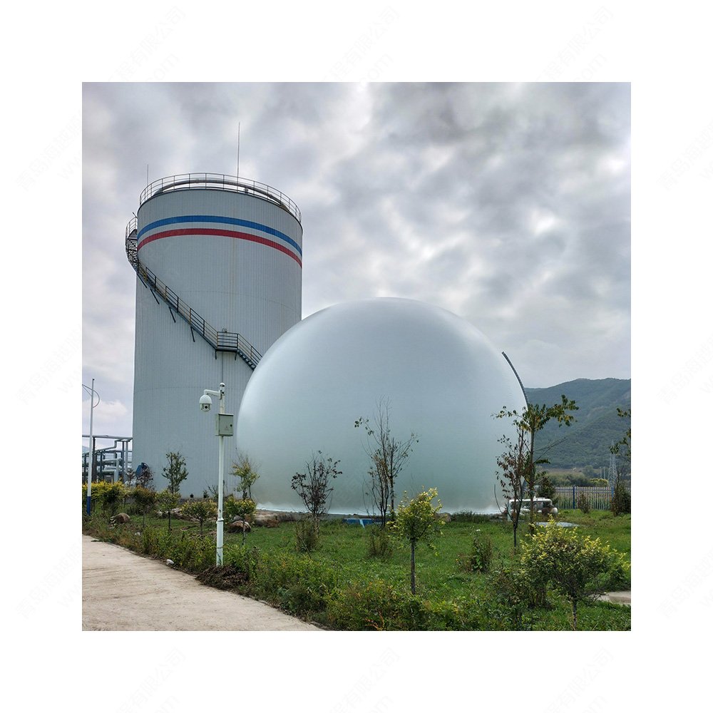 Biogas Digester farm cow manure treatment biogas plant electrical plant making machine by biogas