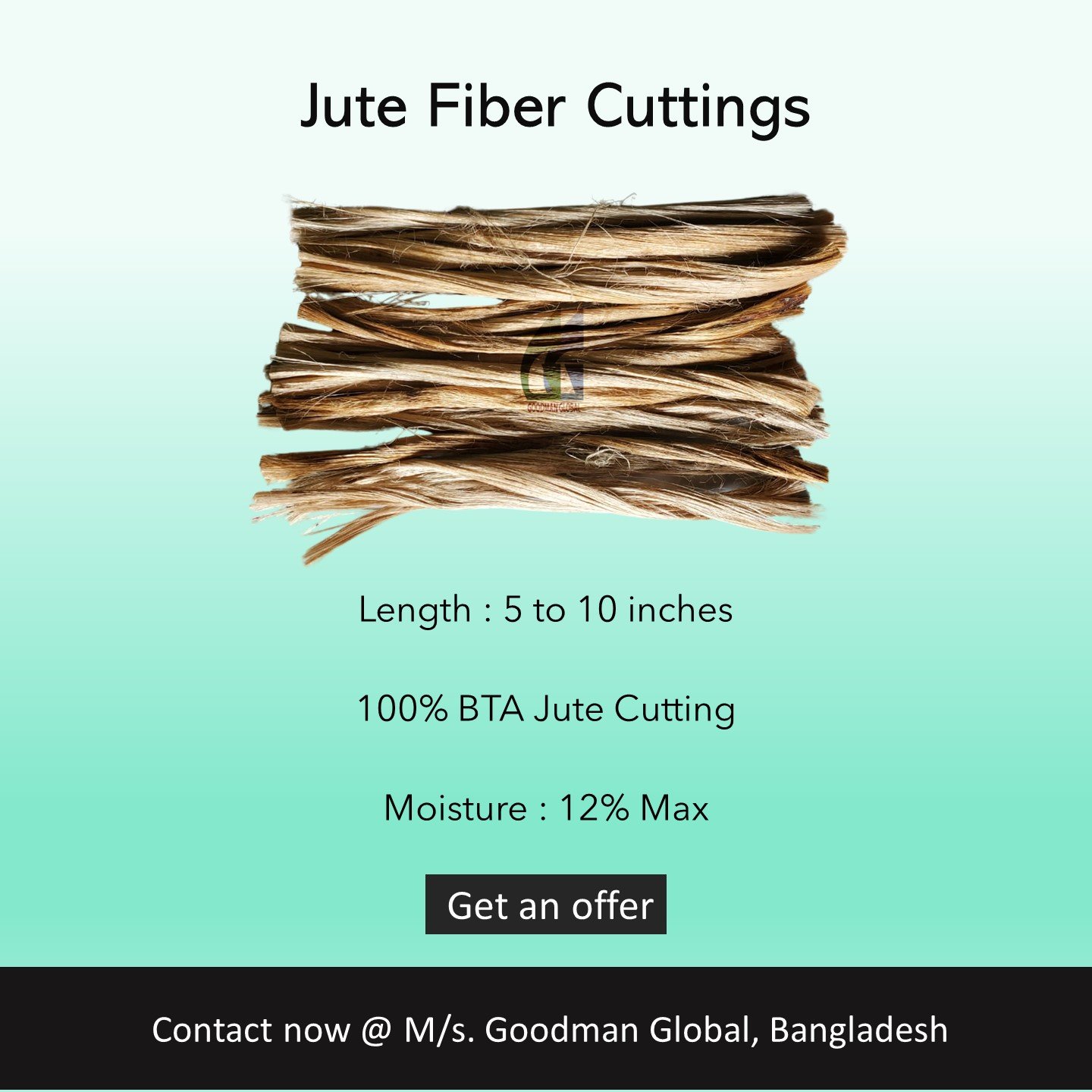 New 5 to 10 inches Jute fiber cutting biodegradable fibre cuts fibra de yute Manufacturer Wholesale Goodman Global Bangladesh