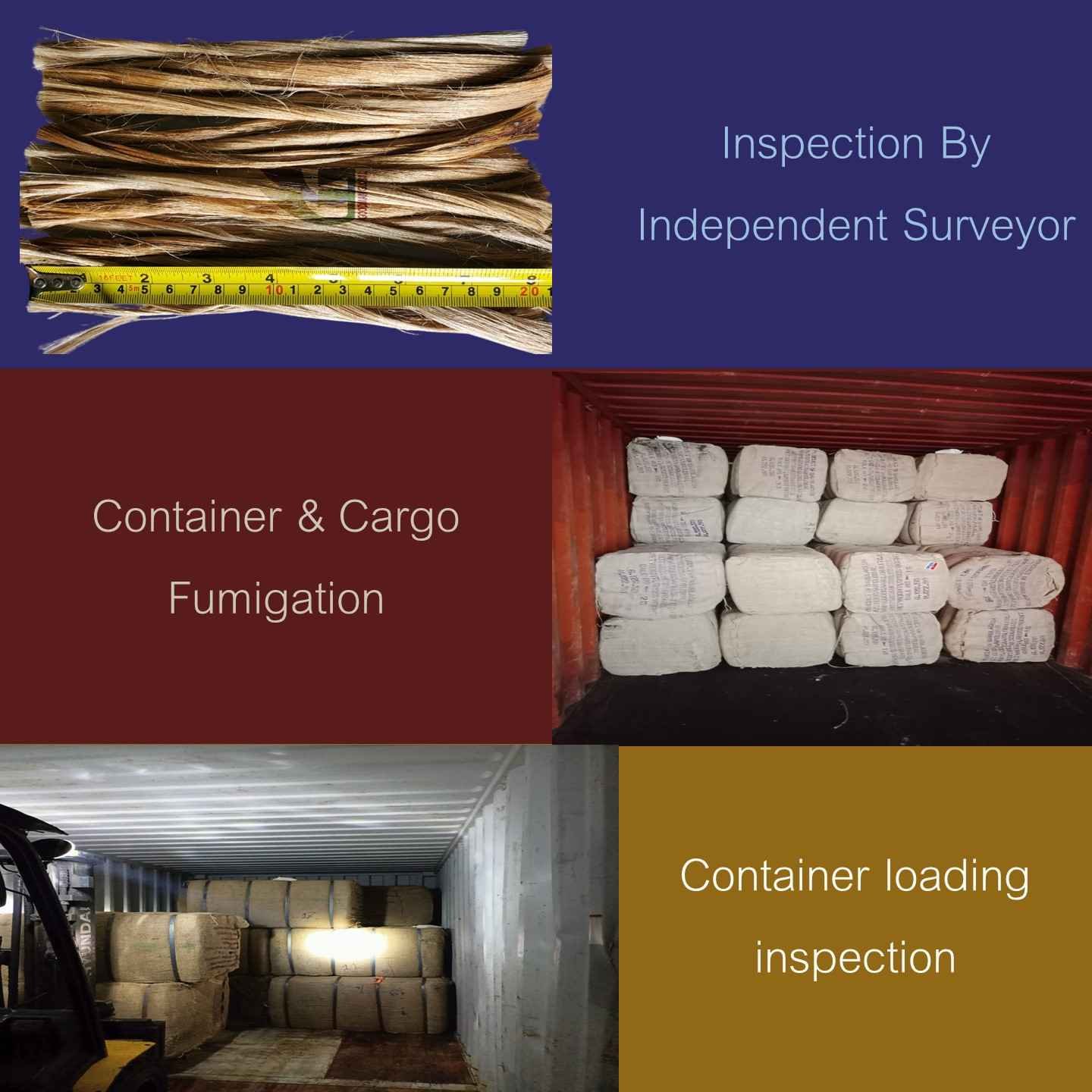 New 5 to 10 inches Jute fiber cutting biodegradable fibre cuts fibra de yute Manufacturer Wholesale Goodman Global Bangladesh