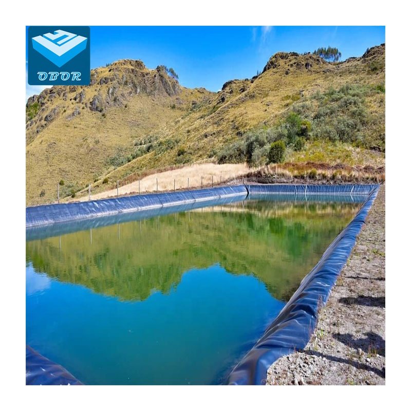 0.75mm 1mm fish farm pond liner hdpe geomembrane dam liner price