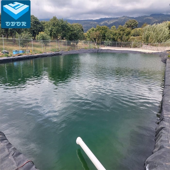 0.75mm 1mm fish farm pond liner hdpe geomembrane dam liner price