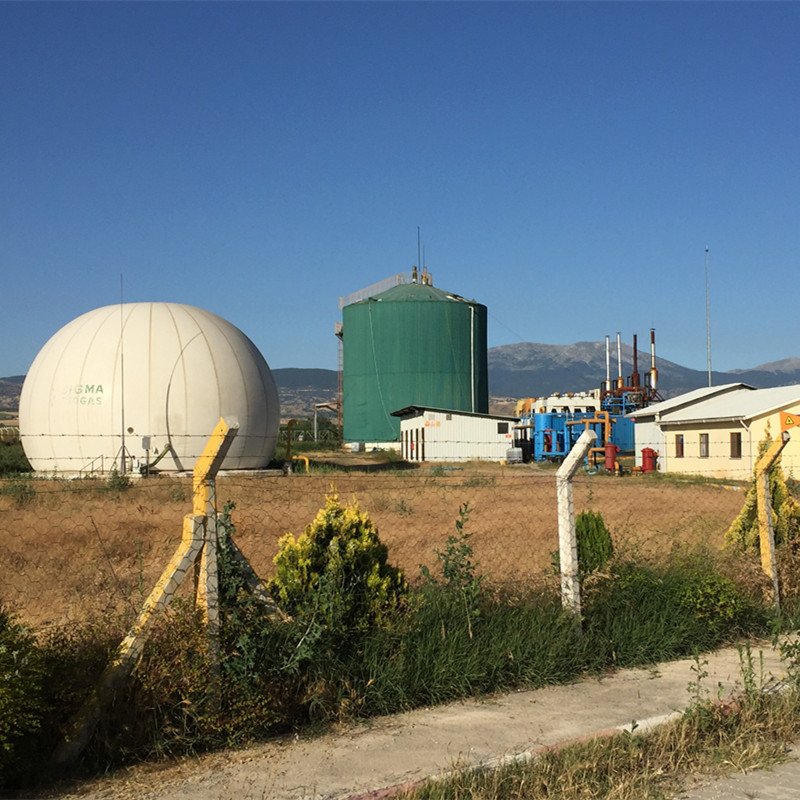 China 1 mw generator biogas power plant generator biogas