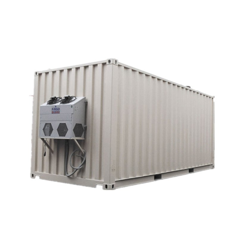China 1 mw generator biogas power plant generator biogas