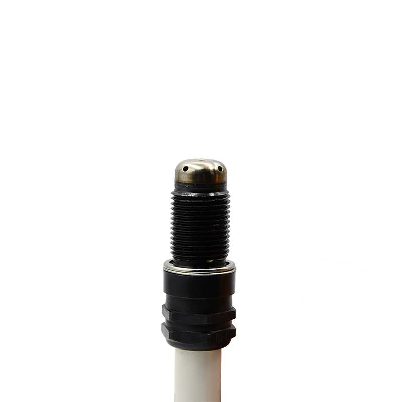Good quality GUASCOR 7664375 7664604 7664765 7664653 7664356/1910315 on biogas engines HGM560 SFGM ENGINES Industrial plugs