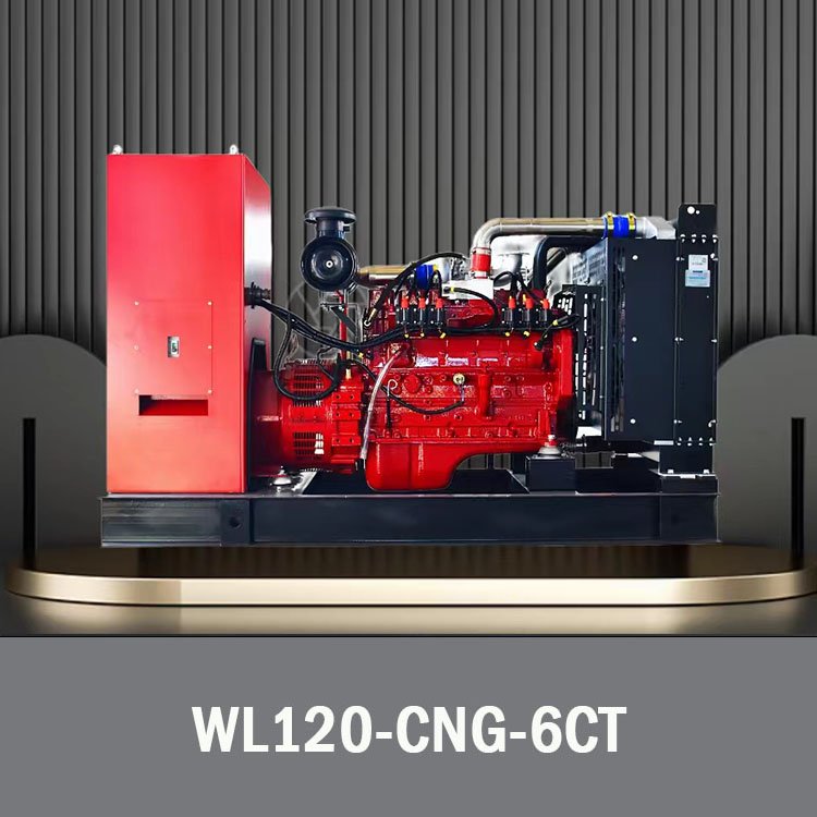 Plant Emergency Gas Power Generation 6CTAA 120KW Biomass Electric Power Generator