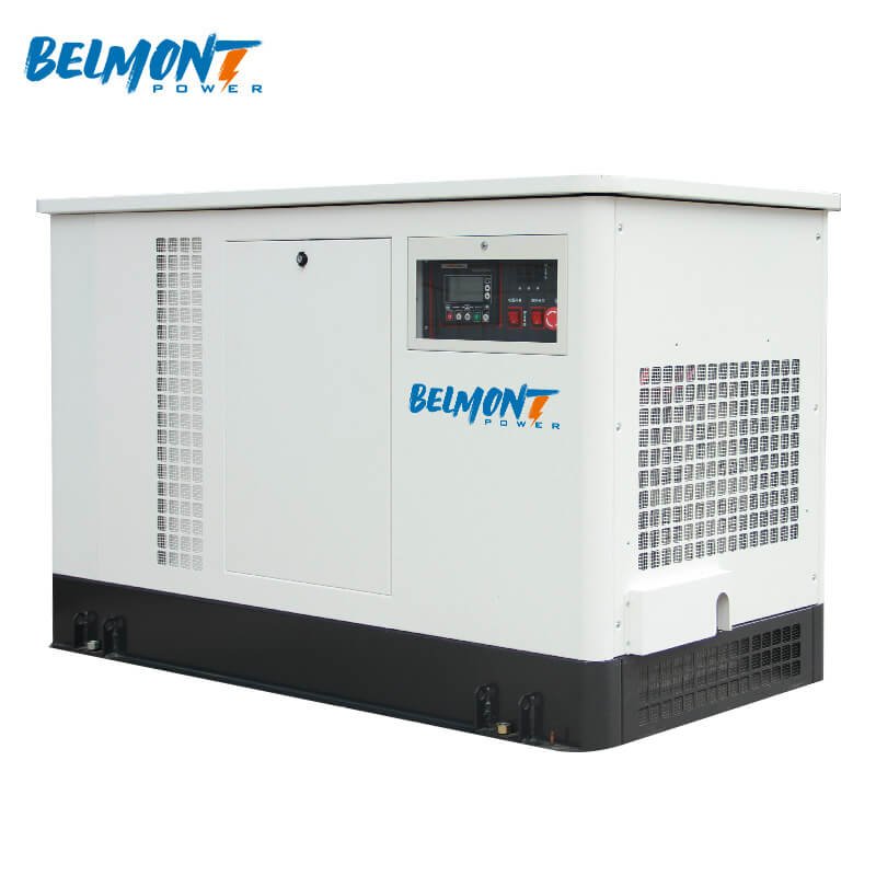 20kva 16kw 25kva 36kva 20kw 22kw 23kw EPA Certification Powered Inverter Electric Home lpg generator 10kw Natural Gas Generator