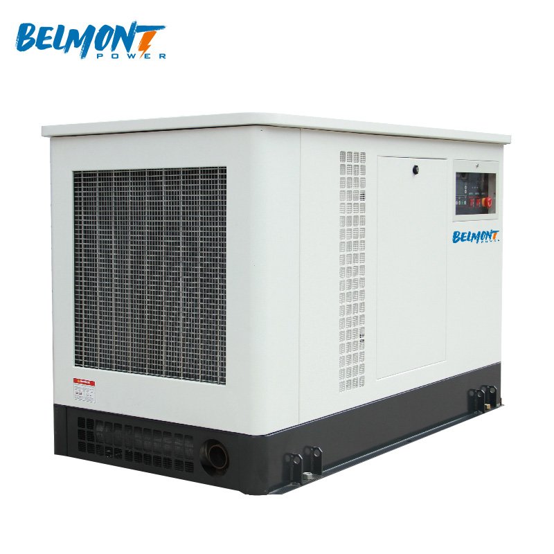 20kva 16kw 25kva 36kva 20kw 22kw 23kw EPA Certification Powered Inverter Electric Home lpg generator 10kw Natural Gas Generator