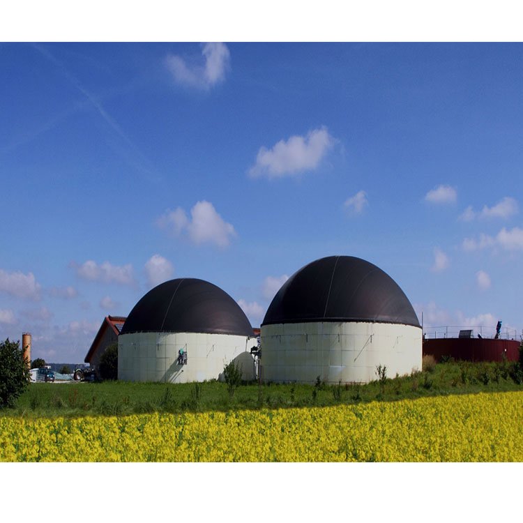 anaerobic digestion tank mini biogas digester mini biogas digester