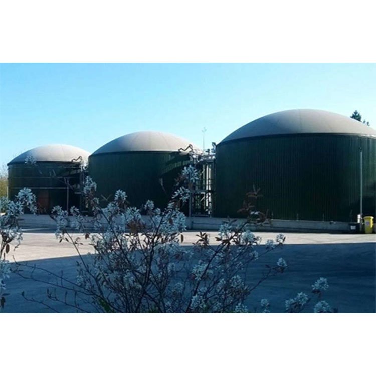anaerobic digestion tank mini biogas digester mini biogas digester