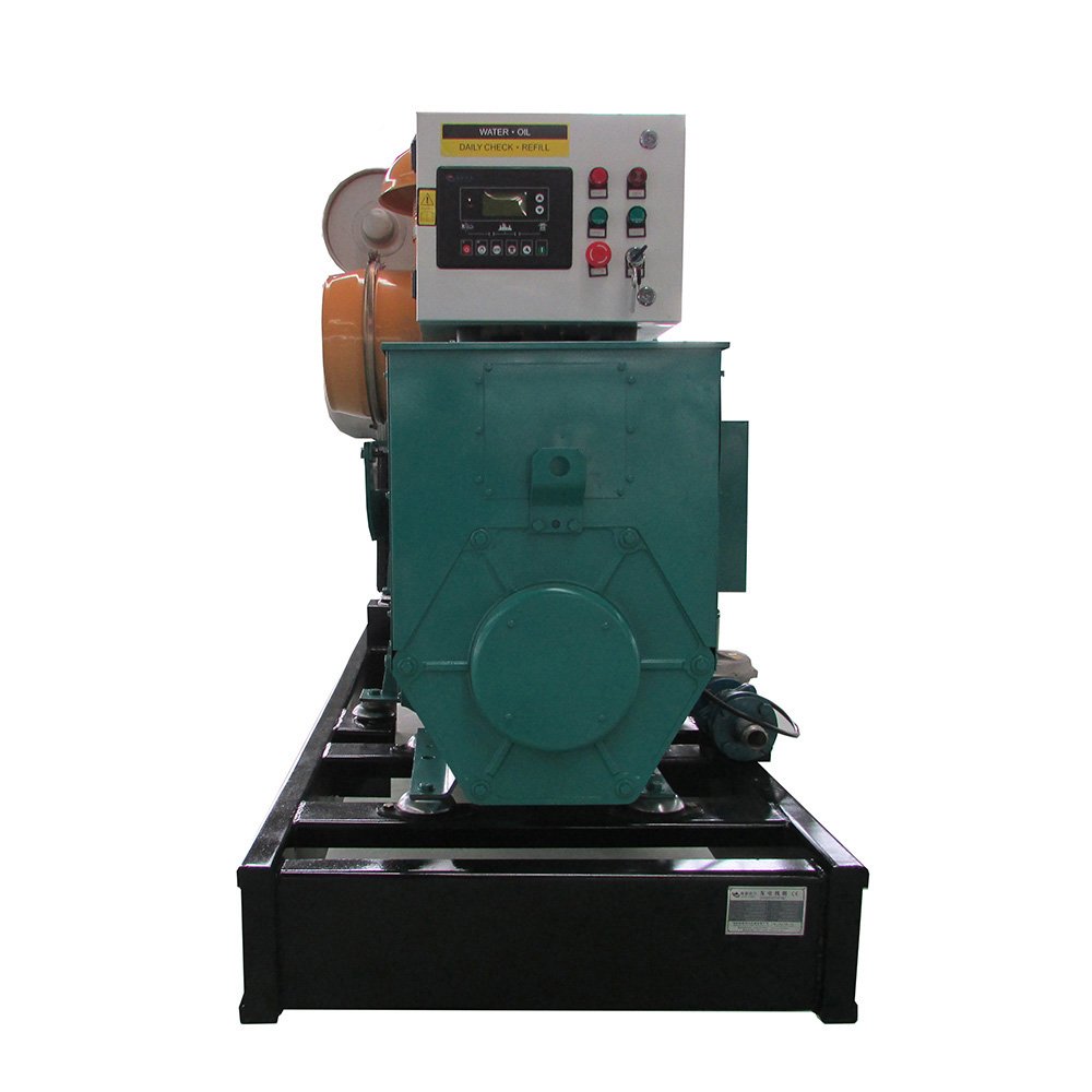 10kw 20kW 50kw 150kW 200kW 1mW for Bio Gas Power Plant Generation natural Biogas Engine Electric Generator Set Price