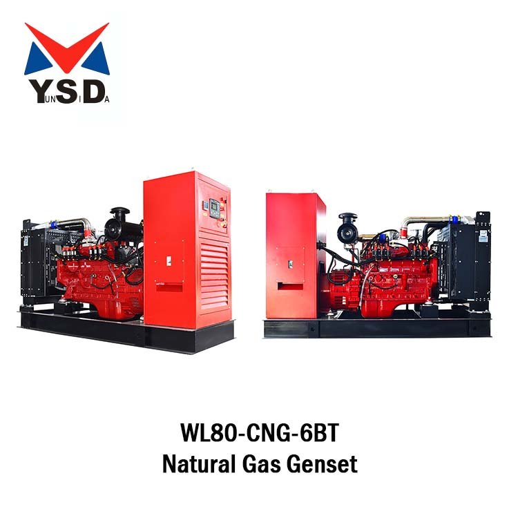 Suitable For Large And Medium-Sized Venues 6BTA Natural Gas Generator LPG Gas Generator