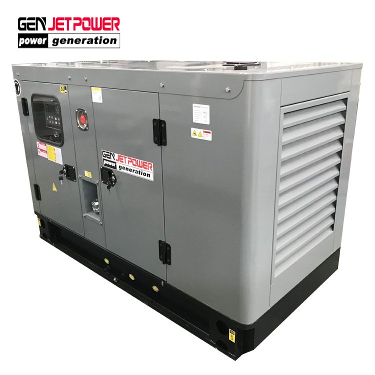 30Kw 40Kw 50Kw 60Kw 70Kw 80Kw 100Kw Gas Generator Biogas Generator For Sale/