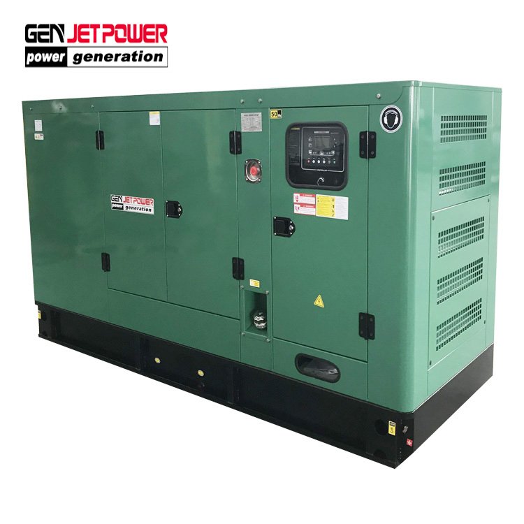 30Kw 40Kw 50Kw 60Kw 70Kw 80Kw 100Kw Gas Generator Biogas Generator For Sale/