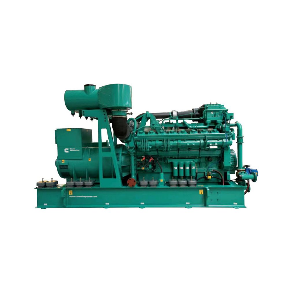 New Leader power BHKW 5kW - 2000kW biogas generator with CHP gas generation equipment cogeneration natural gas generator