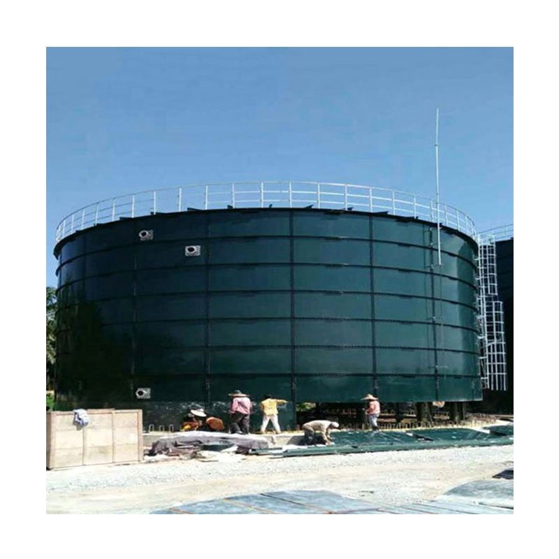 3*3000m3 Cstr Anaerobic Tank Reactor Biogas Plant
