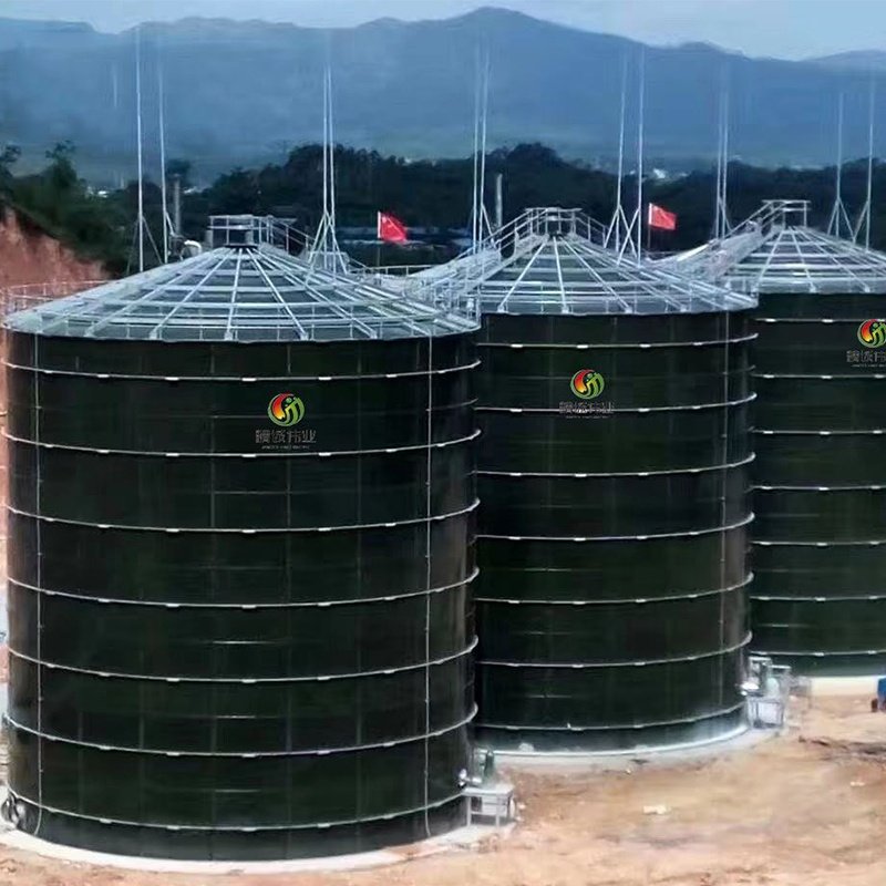 3*3000m3 Cstr Anaerobic Tank Reactor Biogas Plant