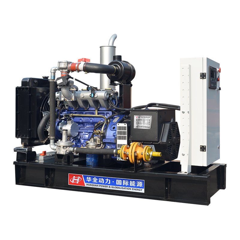 Biogas generator animal waste/farm waste/biomass cogeneration clean power