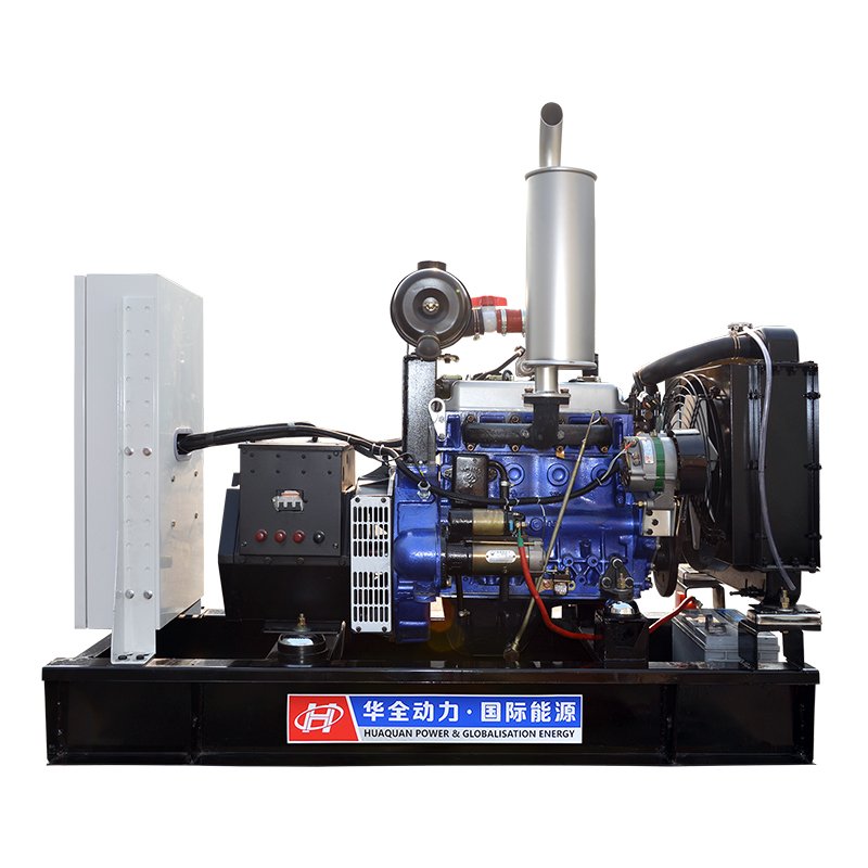 Biogas generator animal waste/farm waste/biomass cogeneration clean power