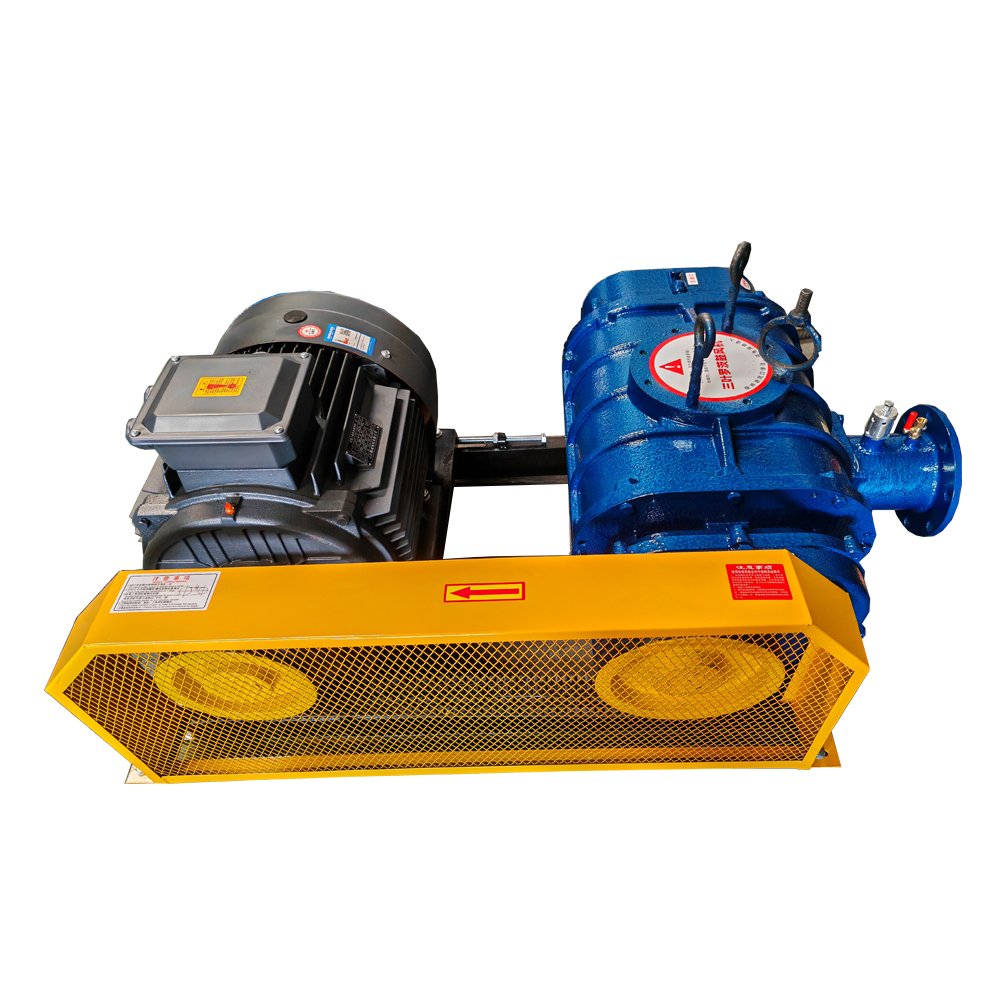 High Efficiency Good Quality Lobes Industrial Biogas Gas Blower Roots Blower Air Pump