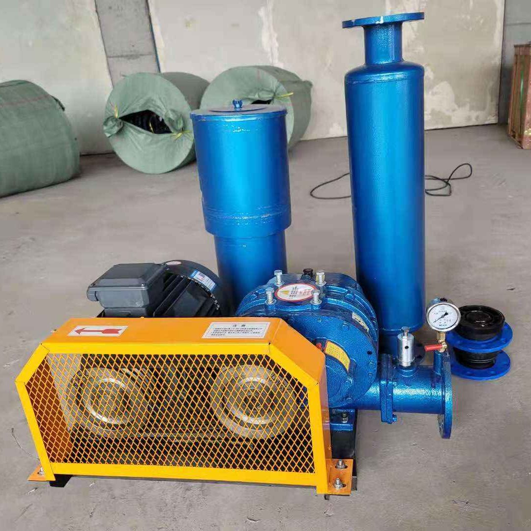 zhejiang New high efficiency three blade roots fan Best selling V-belt driving three lobes roots blower of bore 50mm
