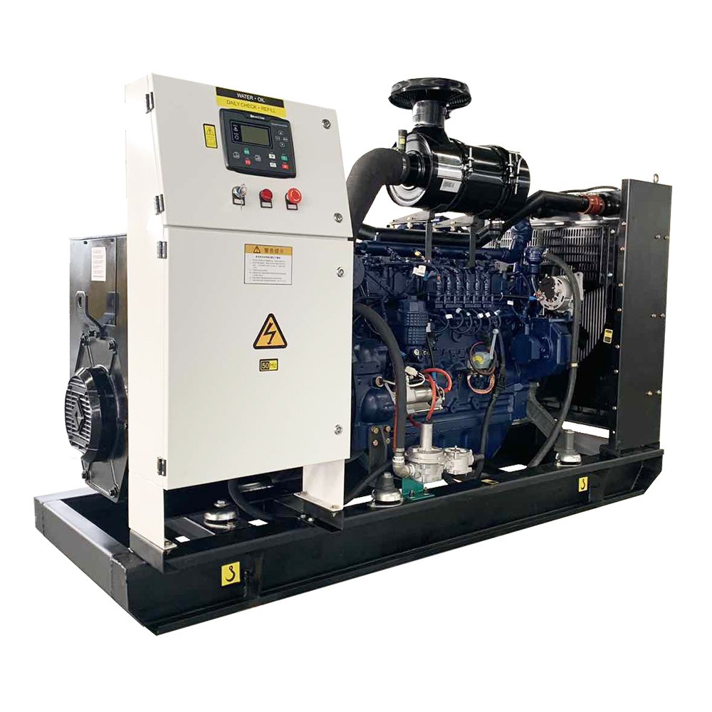 100KVA biogas plant System Biogas Generator set