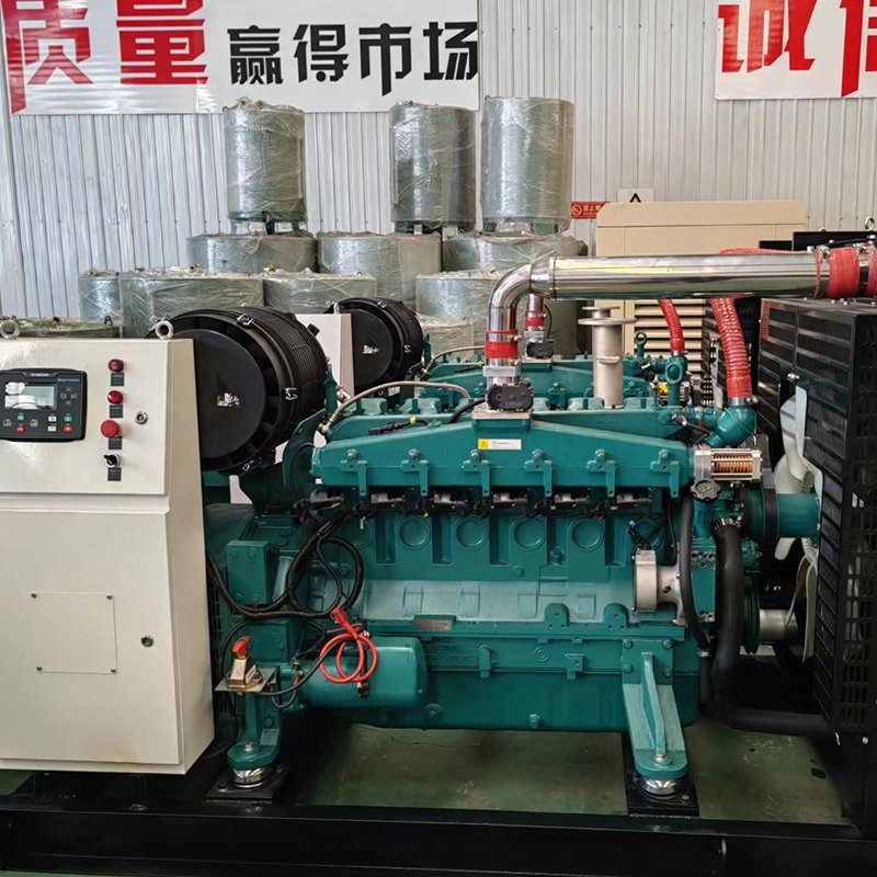 100kw Natural Gas Biogas Generators Factory Direct Sales At Cheap Prices