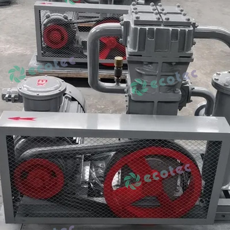 Ecotec LPG Gas Compressor Biogas Compressor Petroleum Gas Booster Compressor