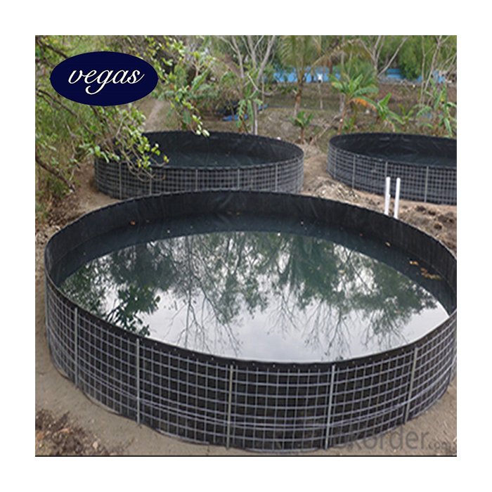 raw material membrane 1mm 2mm 3mm geomembrane for water reservoir with discount