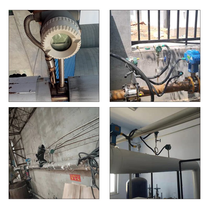 Stainless Steel Biogas Vortex Flowmeter,1.6mpa Flange Air Vortex Flowmeter Price