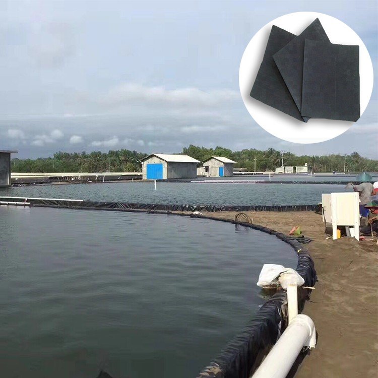 Agricultural Pond Liners Geomembranas 0.5mm 1.0mm 1.5mm 2mm HDPE Geomembrane For Fish Farming
