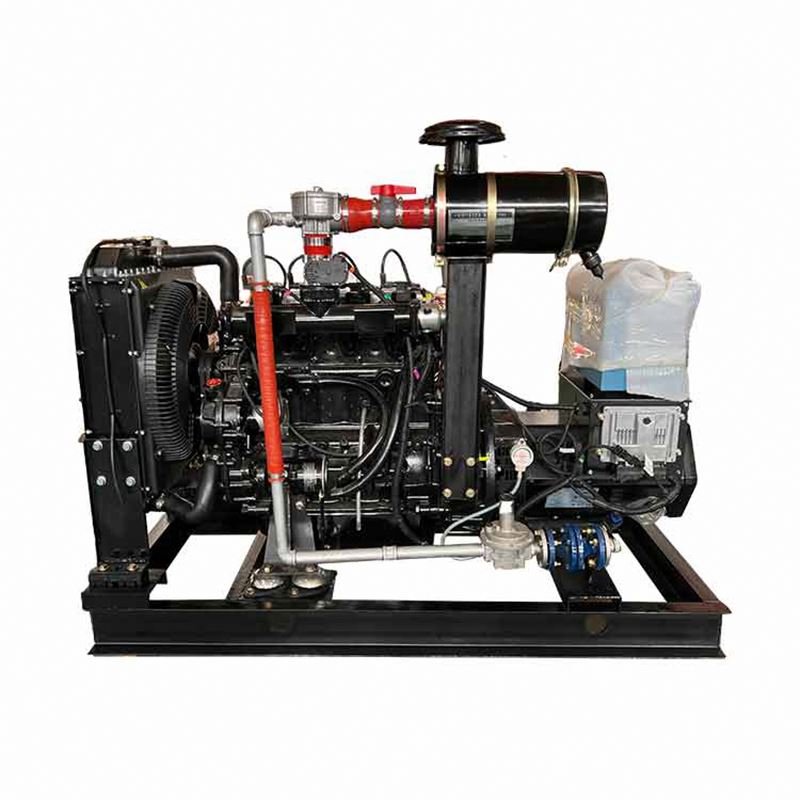 10kw 20kw 30kw Single-Phase Biogas Gas Generator with Water Cooling for LPG and Natural Gas Brushless Excitation Type