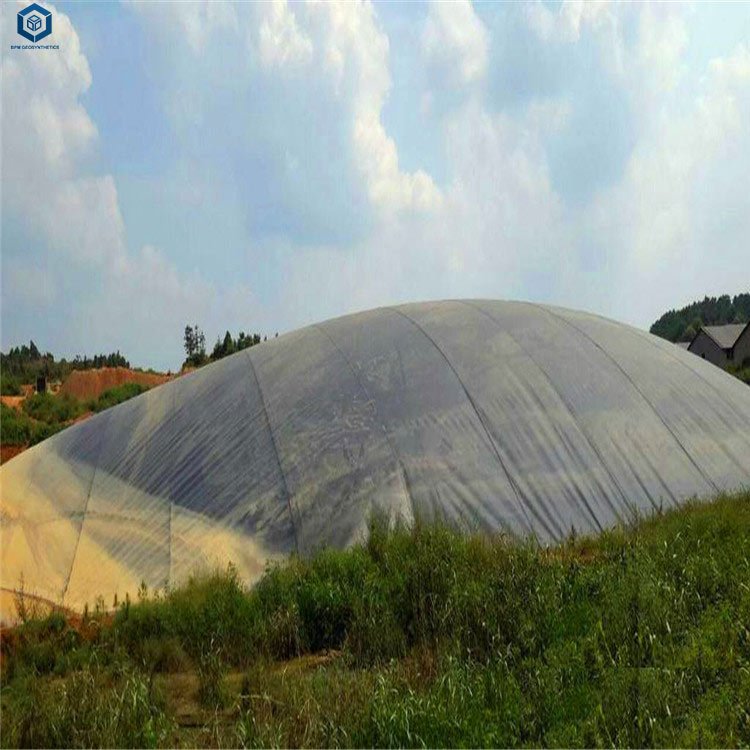 1.5mm HDPE Pond Liner Geo Material High Density Polyethylene Geomembrane for Biogas Digester in Philippines