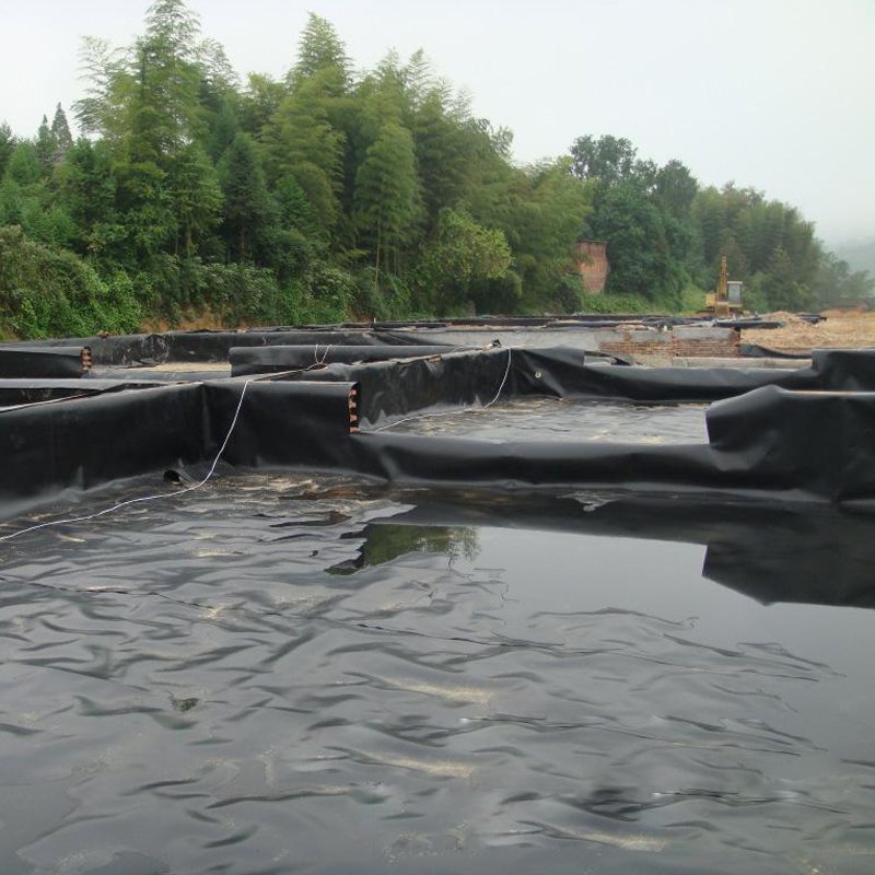 0.5mm 1.0mm 1.5mm 2mm HDPE sheet plastic membrane pond liner fish tank black Geomembrane for water reservoir Mining landfil