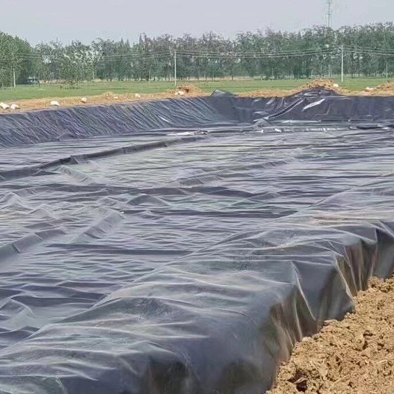0.5mm 1.0mm 1.5mm 2mm HDPE sheet plastic membrane pond liner fish tank black Geomembrane for water reservoir Mining landfil