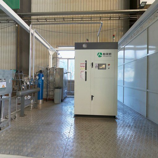 China Price 0.5 to 4 ton LPG LNG CNG Biogas Heavy Bunker Fuel Oil Diesel Natural Gas Fired for Industrial Steam Boiler