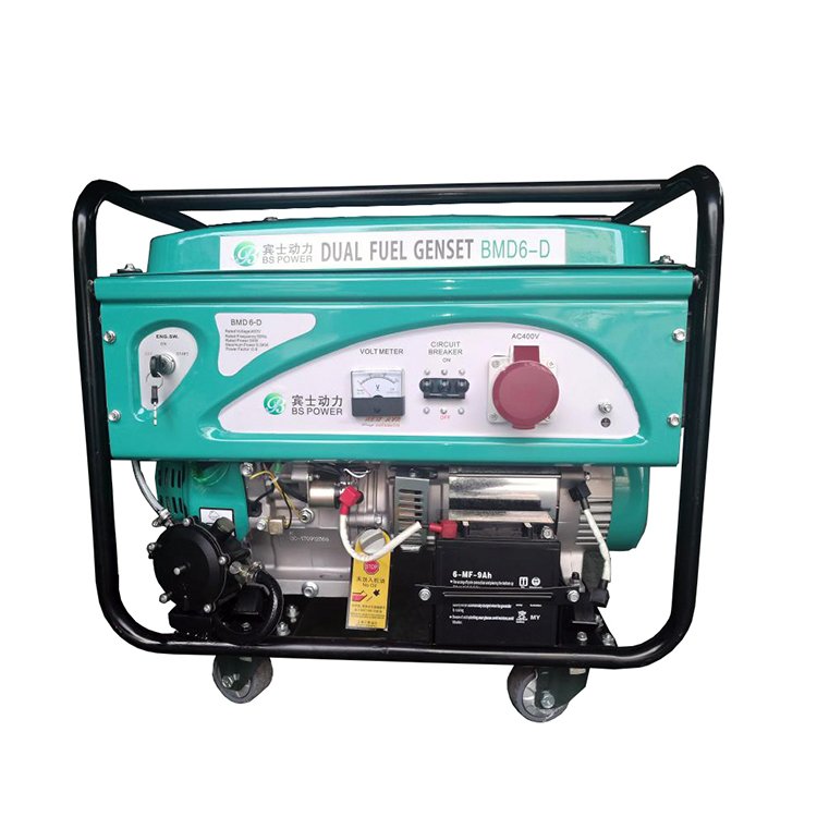 Binshi Power 5kw Biogas Plant to Generate Electricity Electric Power Plant