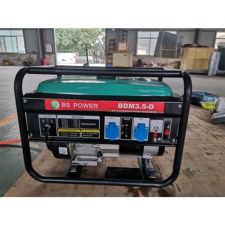 Binshi Power 5kw Biogas Plant to Generate Electricity Electric Power Plant
