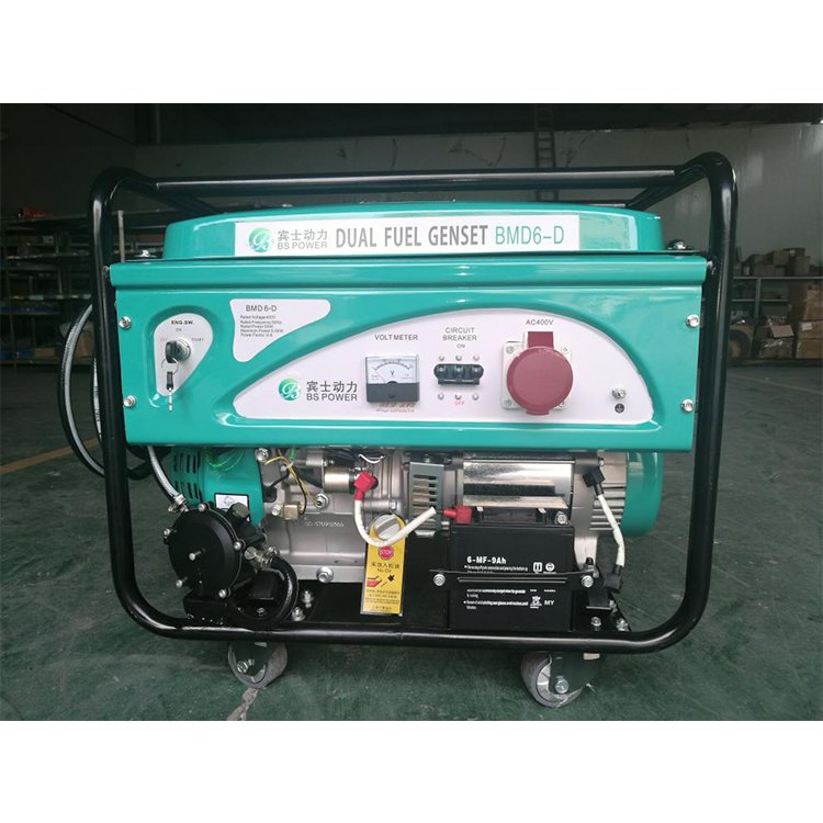 Binshi Power 5kw Biogas Plant to Generate Electricity Electric Power Plant