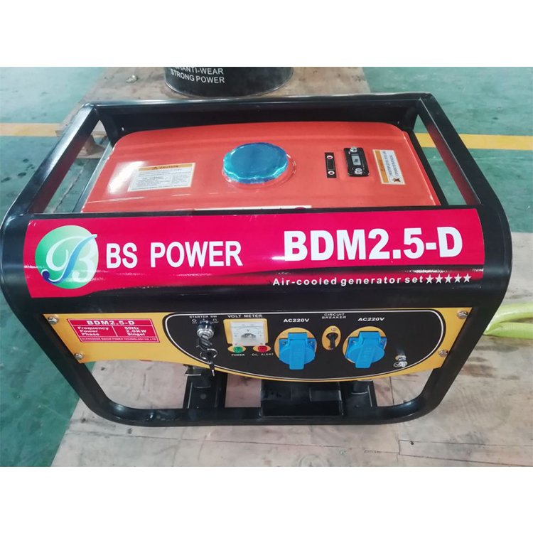Binshi Power 5kw Biogas Plant to Generate Electricity Electric Power Plant