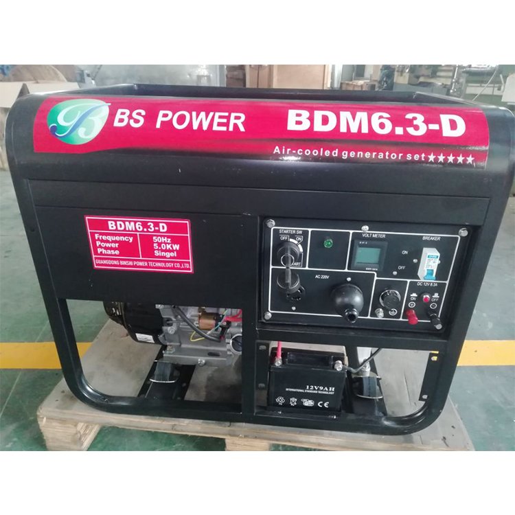Binshi Power 5kw Biogas Plant to Generate Electricity Electric Power Plant