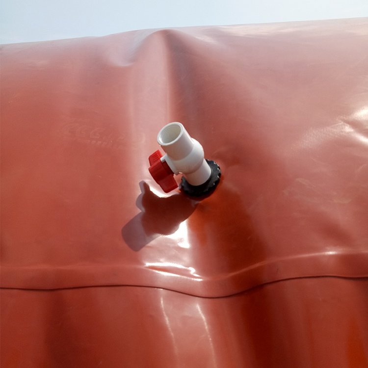New Design Agriculture 4/6/8/10/20/50m^3 Home Fabric Biogas Digester Storage Bag For Biogas