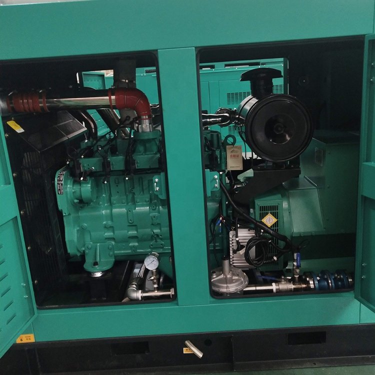 Good Price Turbine Generator 100kVA Biomass Generator 80kW Biogas Plant Gasturbine Generator Silent Box