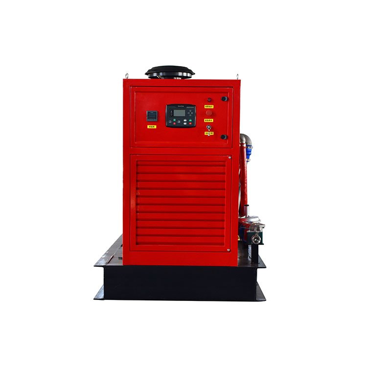 Multi Scenario Application Type ISO CE Certification Backup Power Generation Equipment Propane Gas Generator Biogas Generator